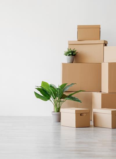 CFG has moved!
